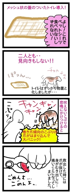 こぷつめトイレ.jpg
