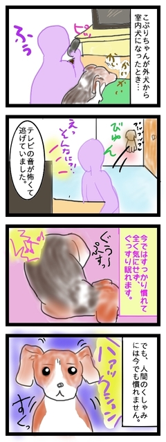 こわがりこぷり1.jpg