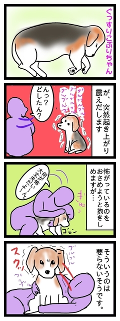 こわぷり.jpg