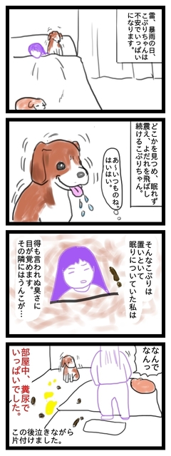 こわぷり3.jpg