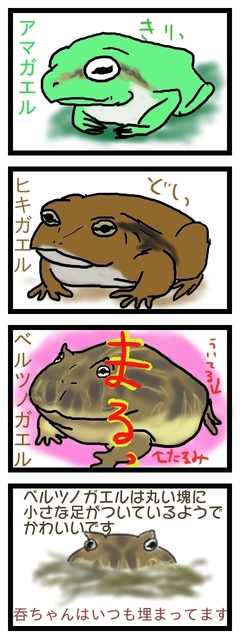 どんちゃん.jpg