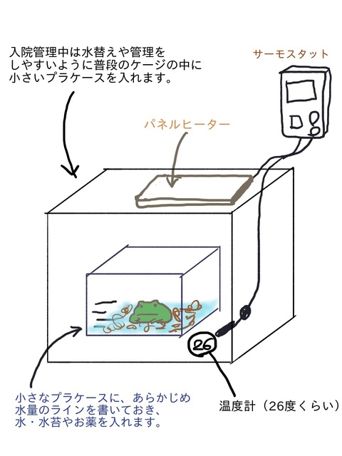 どん入院.jpg