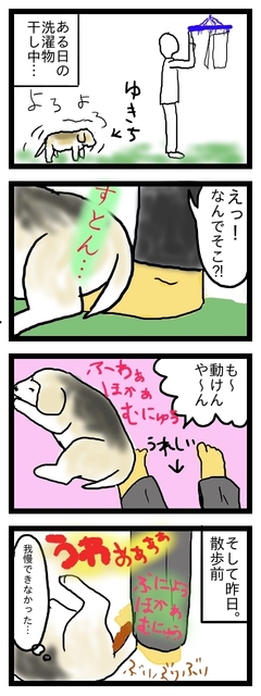 ゆきちのあたたかさ.jpg