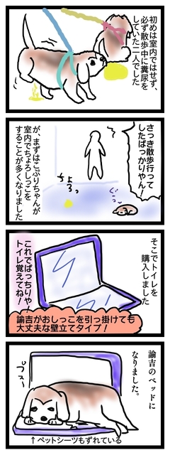 ゆきちのトイレ.jpg