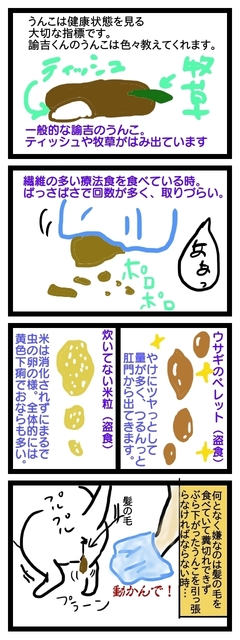 ゆきちの各種うんこ.jpg