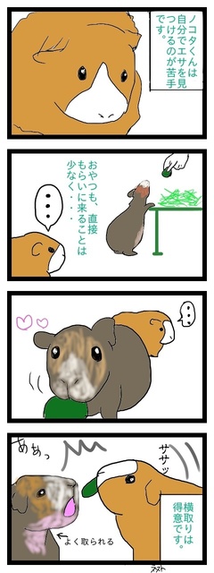 よこどりのこた.jpg